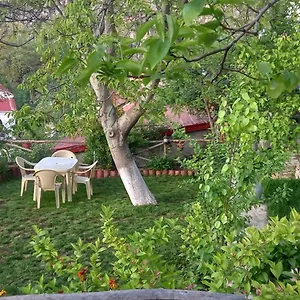 Roleo Casa vacanze